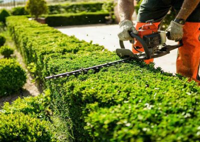 Entretien jardin