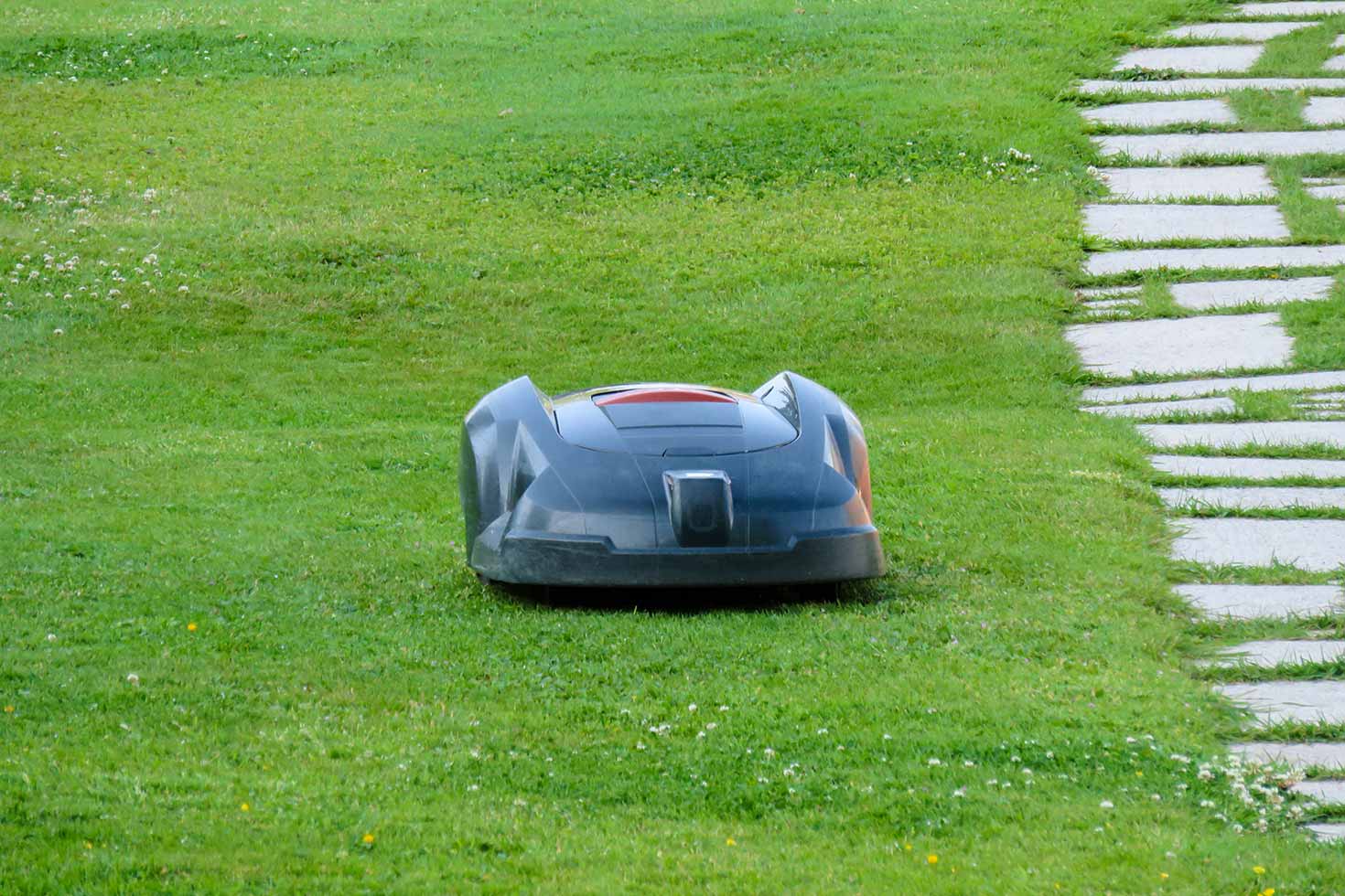 Parc Jardin