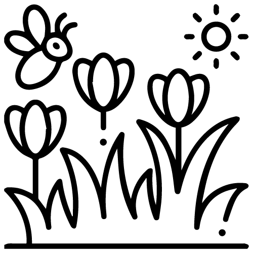 Création jardin