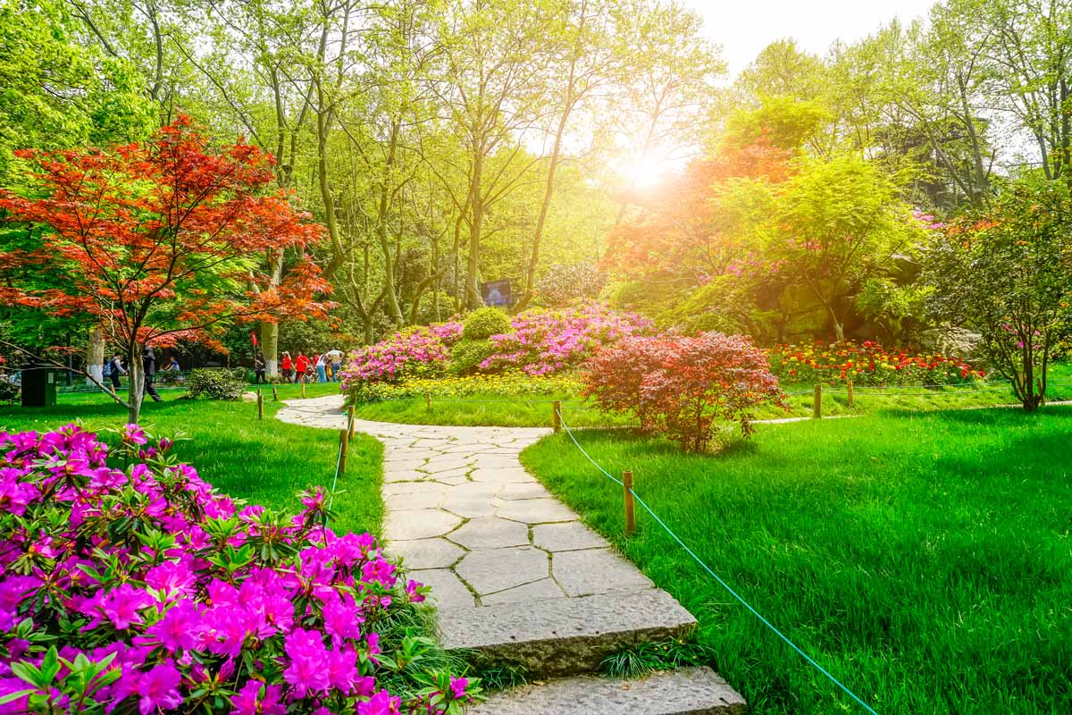 Parc Jardin