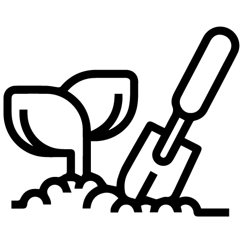 Plantation