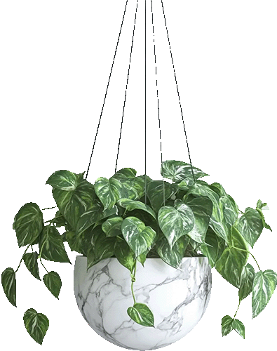 Pot fleur suspondu